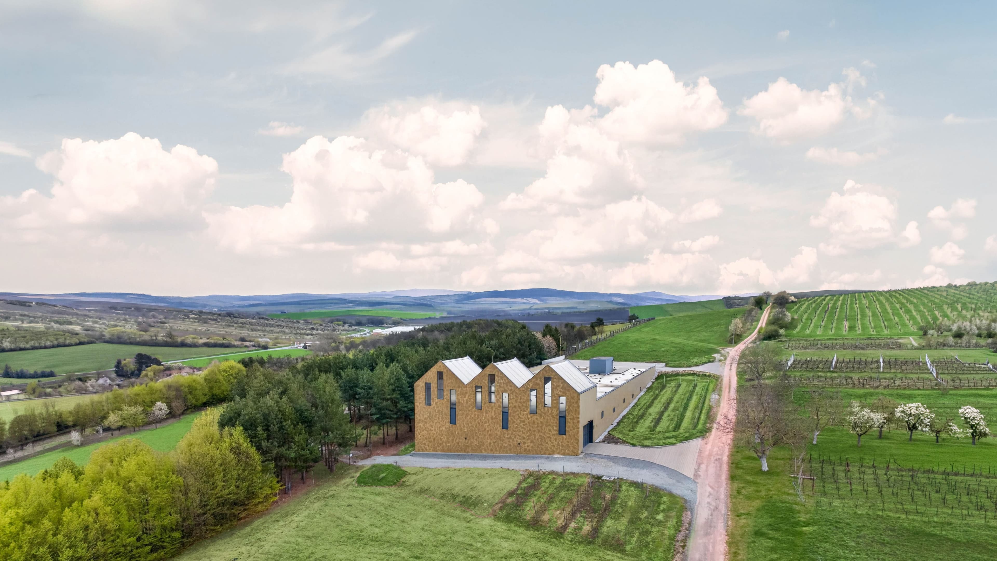 Winery