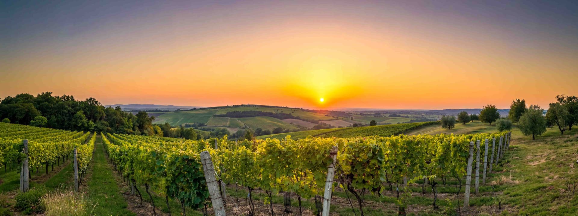 Winery